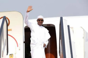 Buhari-for-Egypt2