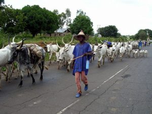 Fulani-Herdsmen