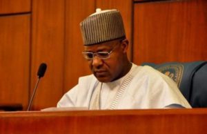 dogara0-620x400